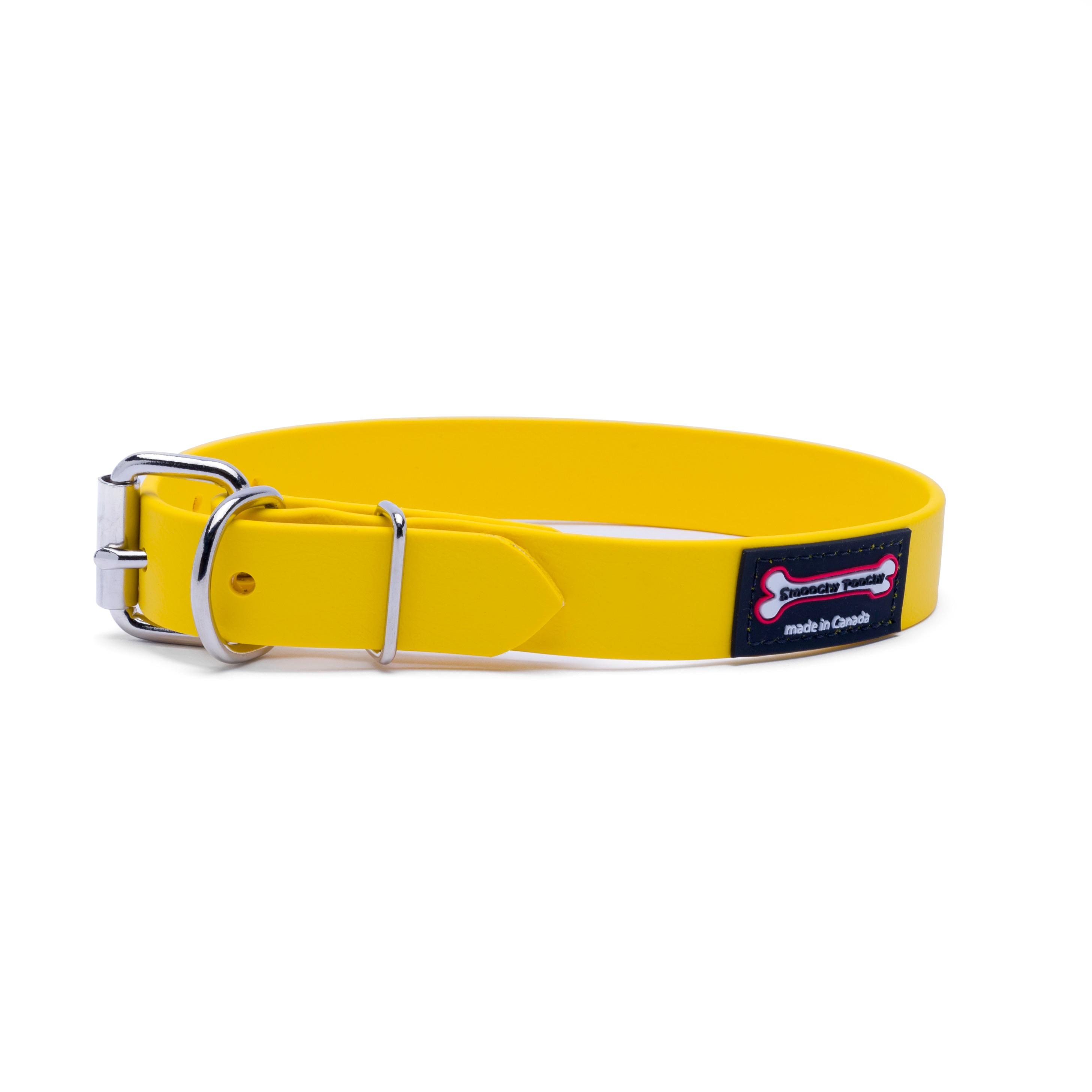 Smoochy Poochy Polyvinyl Buckle Style Dog Collar, Yellow, 1-in x 20-24-in