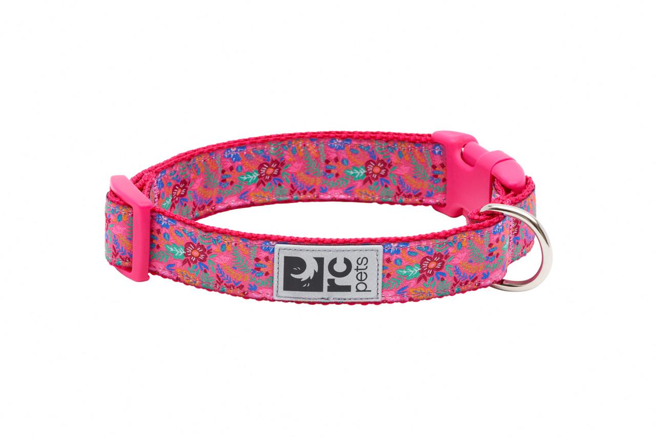 RC Pets Clip Dog Collar, Frida