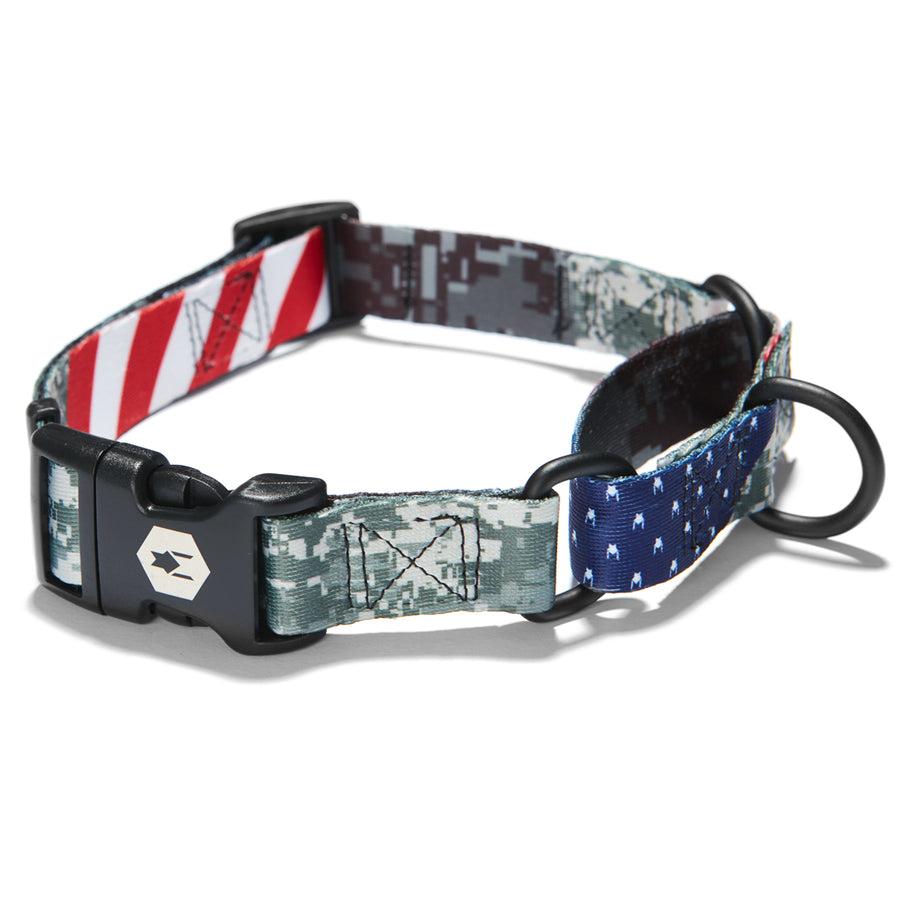 Wolfgang Martingale Dog Collar, DigitalDog