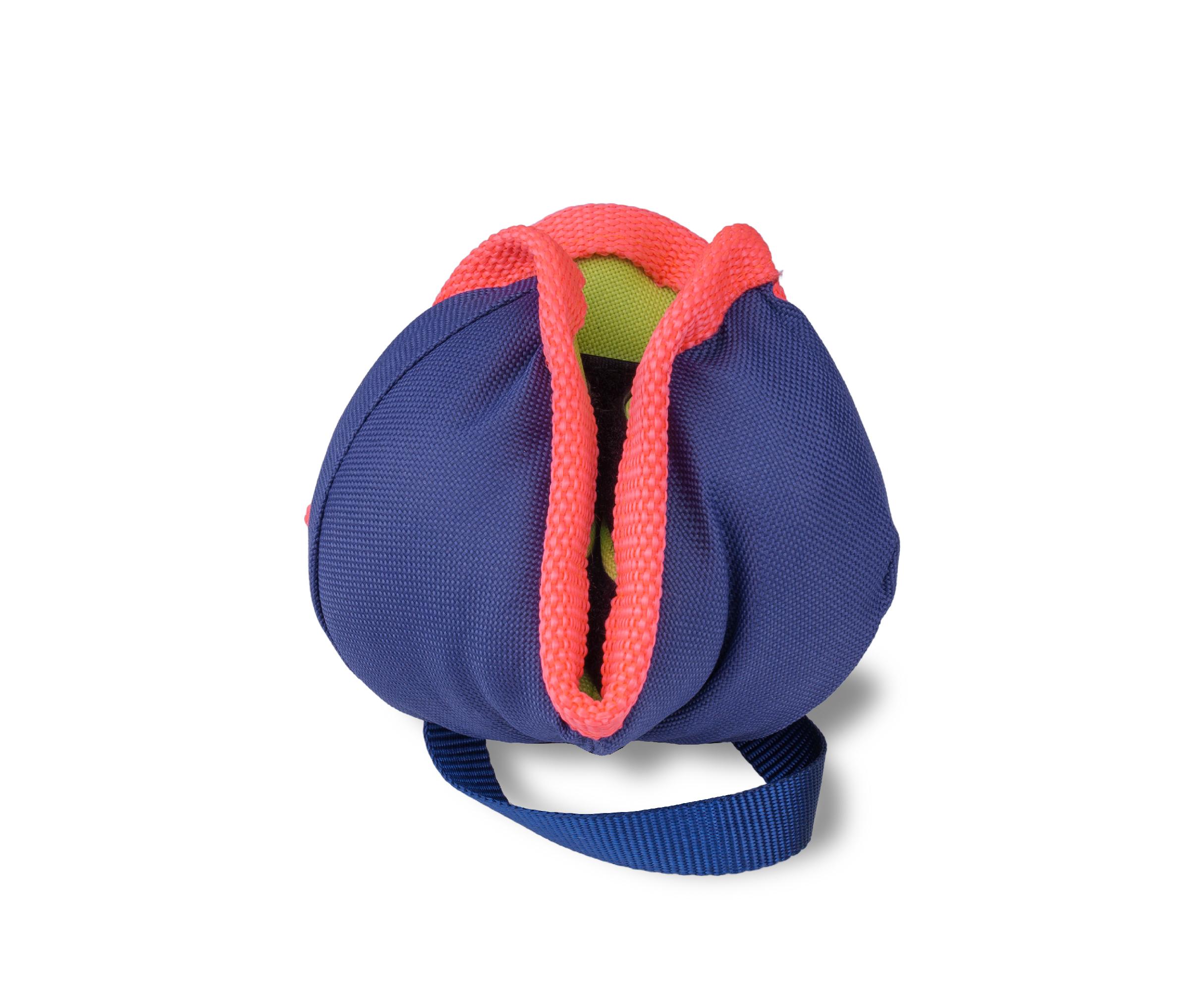 The Company of Animals Coachi Play Chase & Treat Dog Toy