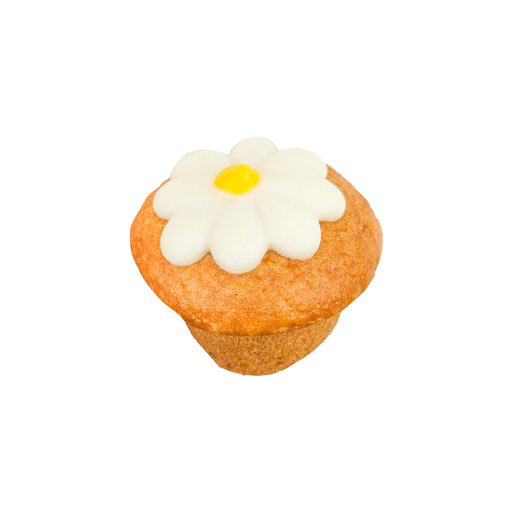 Bosco & Roxy's Daisy Cupcake Dog Treats, 2.5-in
