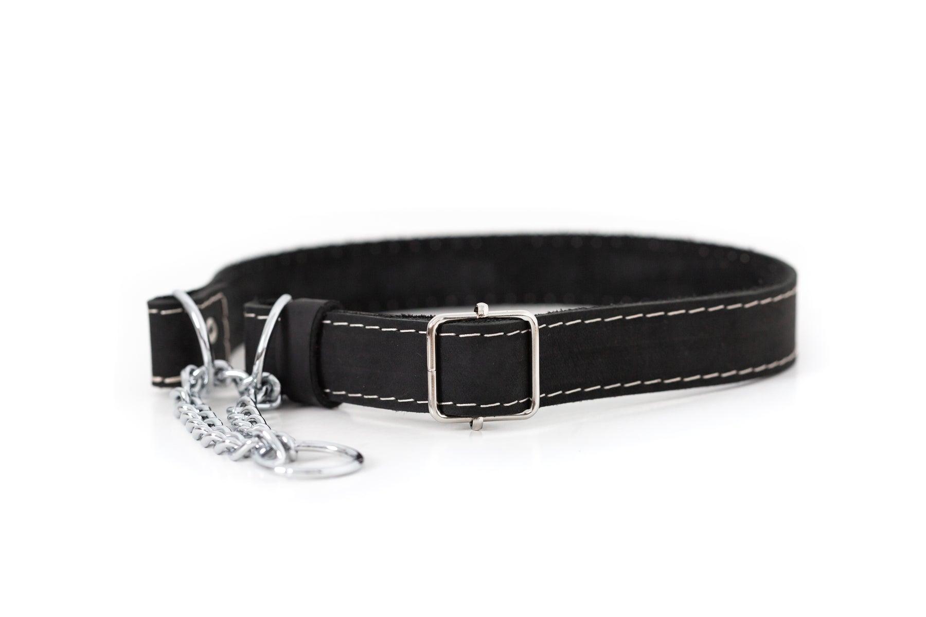 Euro-Dog Soft Leather Martingale Dog Collar, Black, 5/8-in x 12-15-in