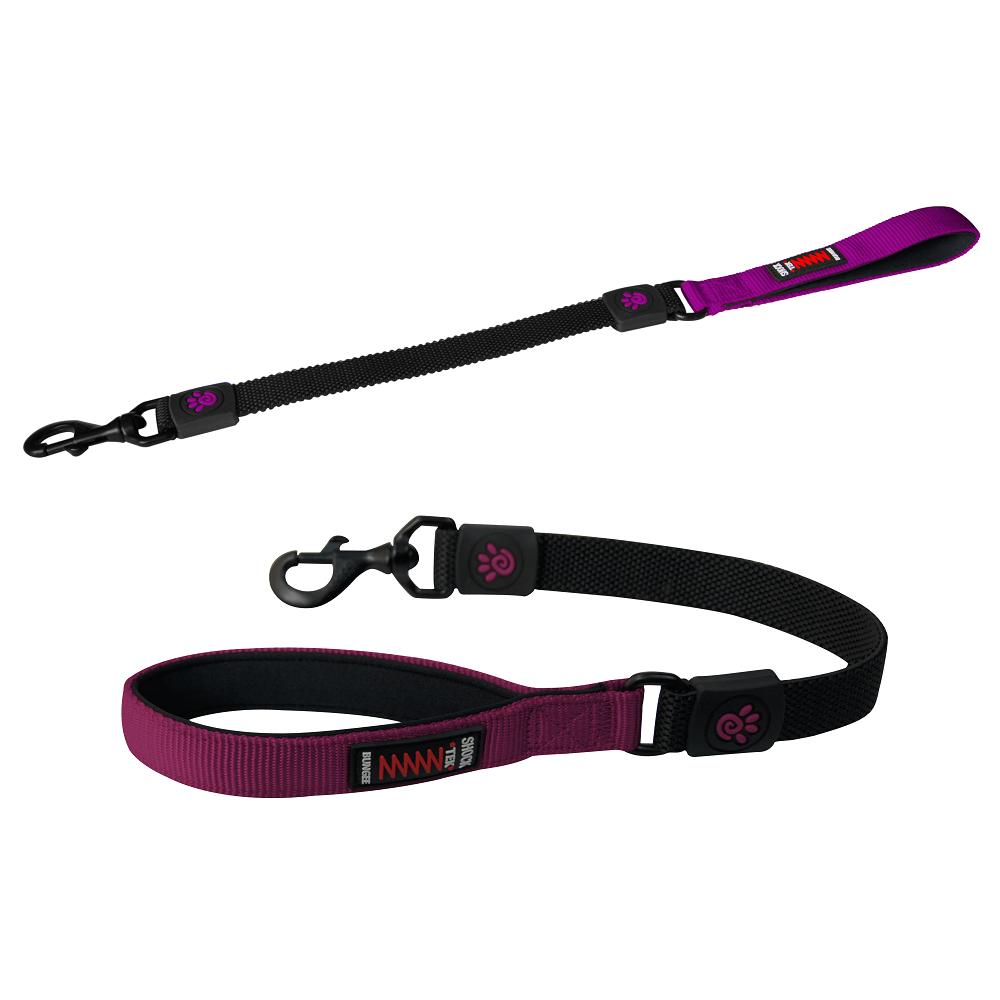 DOCO Shock Absorbing Bungee Nylon Dog Leash, Purple