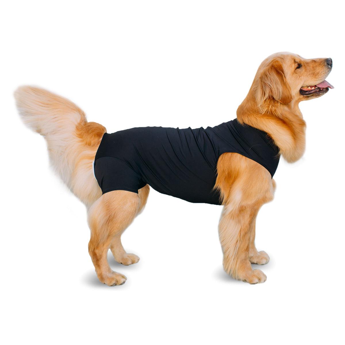Shed Defender Recovery Dog Onesie, Black, Giant