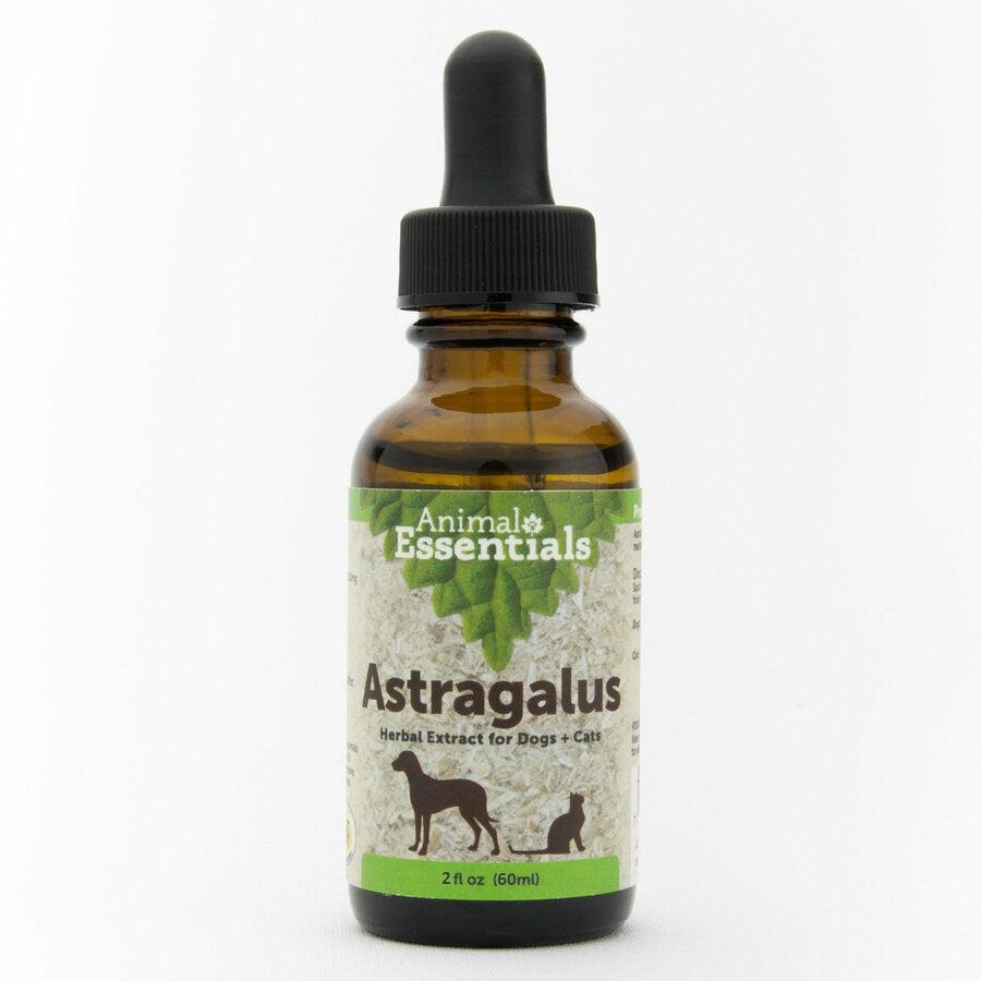 Animal Essentials Astragalus Herbal Extract for Dogs & Cats, 2-oz