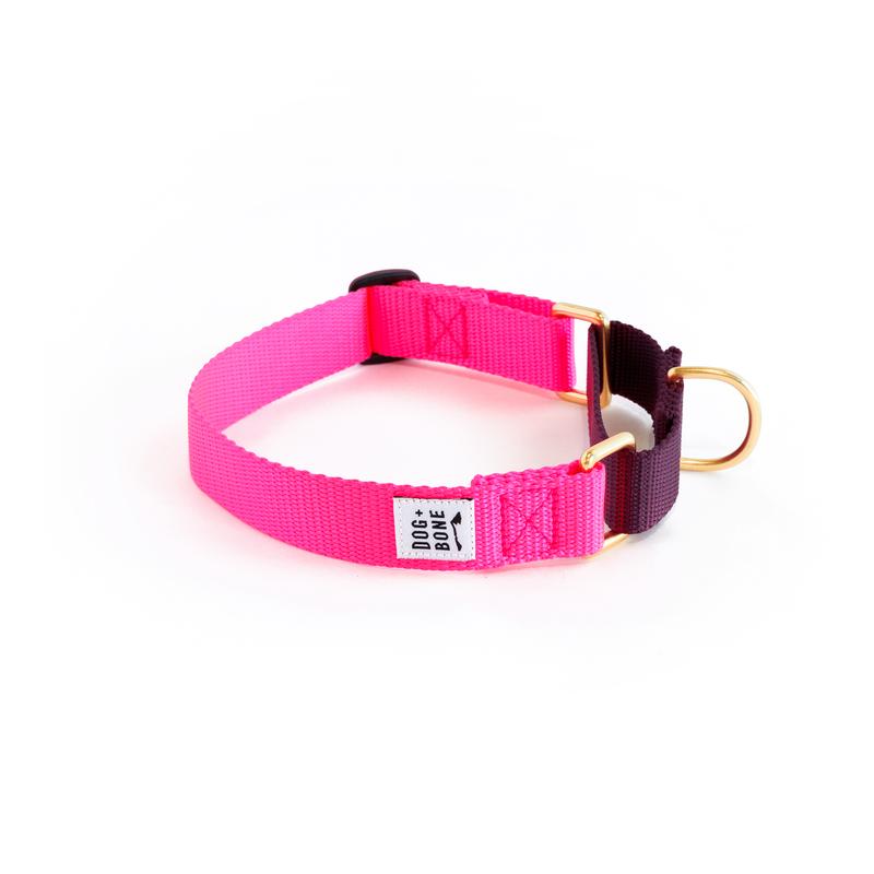 Dog + Bone Martingale Dog Collar, Hot Pink/Purple
