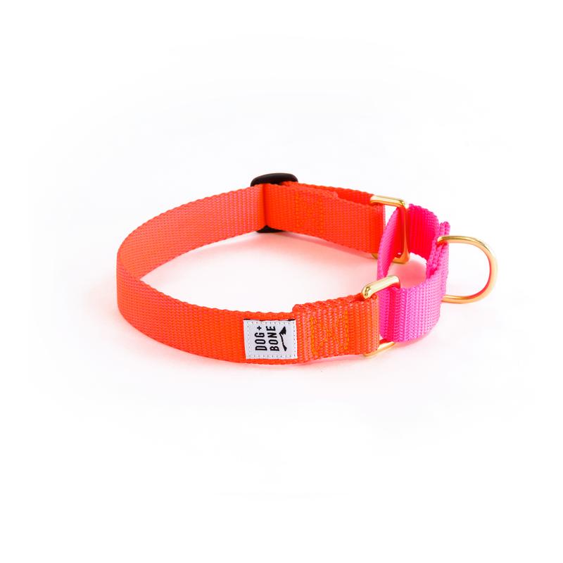 Dog + Bone Martingale Dog Collar, Lava/Hot Pink, 1-in x 14-19-in