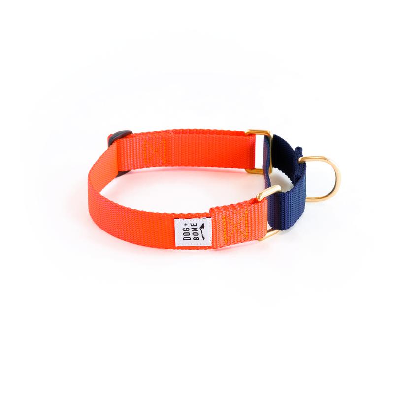 Dog + Bone Martingale Dog Collar, Lava/Navy