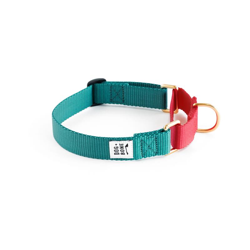 Dog + Bone Martingale Dog Collar, Teal/Punch, 1-in x 19-25-in