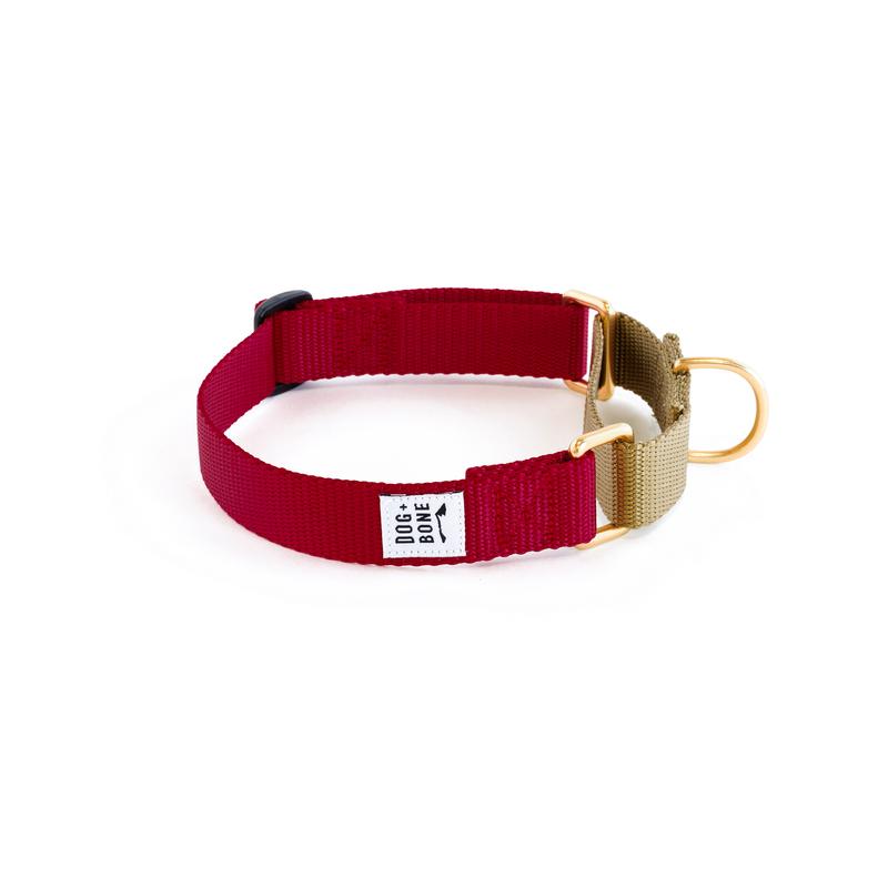 Dog + Bone Martingale Dog Collar, Merlot/Gold, 1-in x 19-25-in