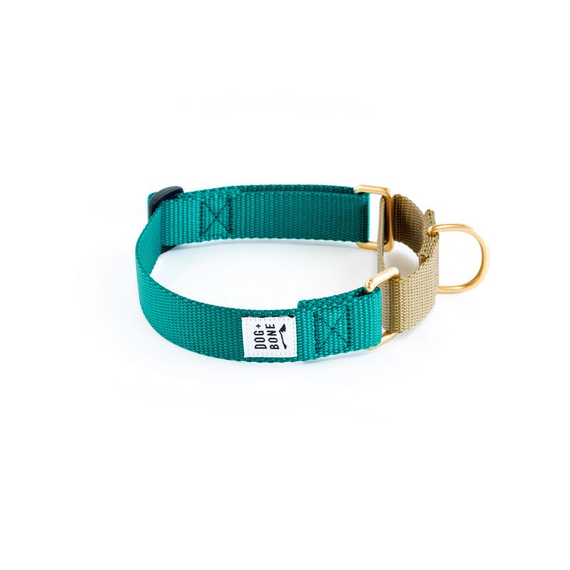 Dog + Bone Martingale Dog Collar, Teal/Gold, 1-in x 19-25-in