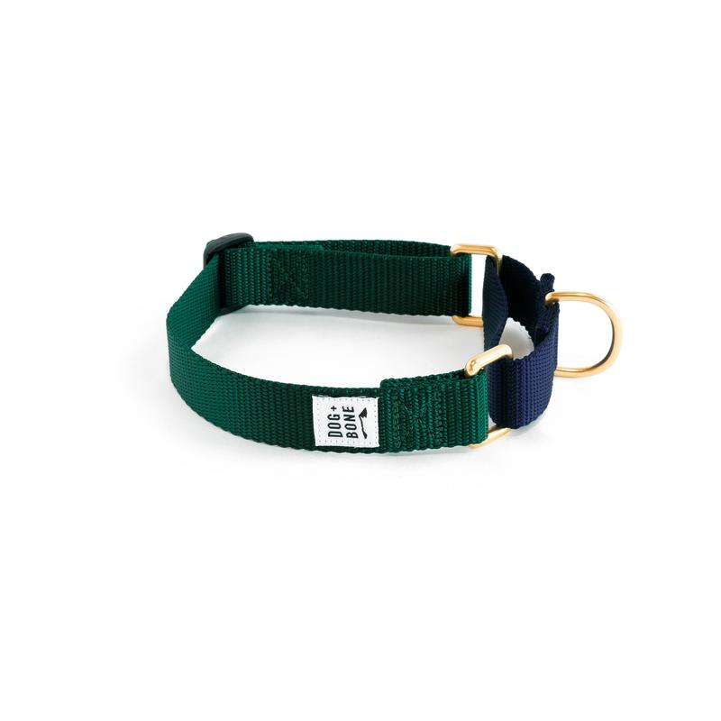 Dog + Bone Martingale Dog Collar, Forest/Navy, 1-in x 14-19-in