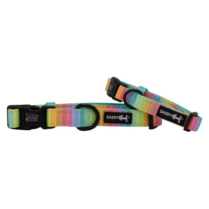 Sassy Woof Dog Collar, Sassy Stripes, Large