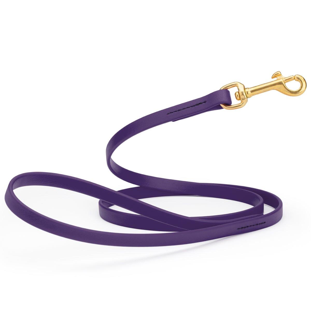 Dogline Viper Biothane Working Leash with Brass Hardware for Dogs, Violet Purple, 1/2-in x 6-ft