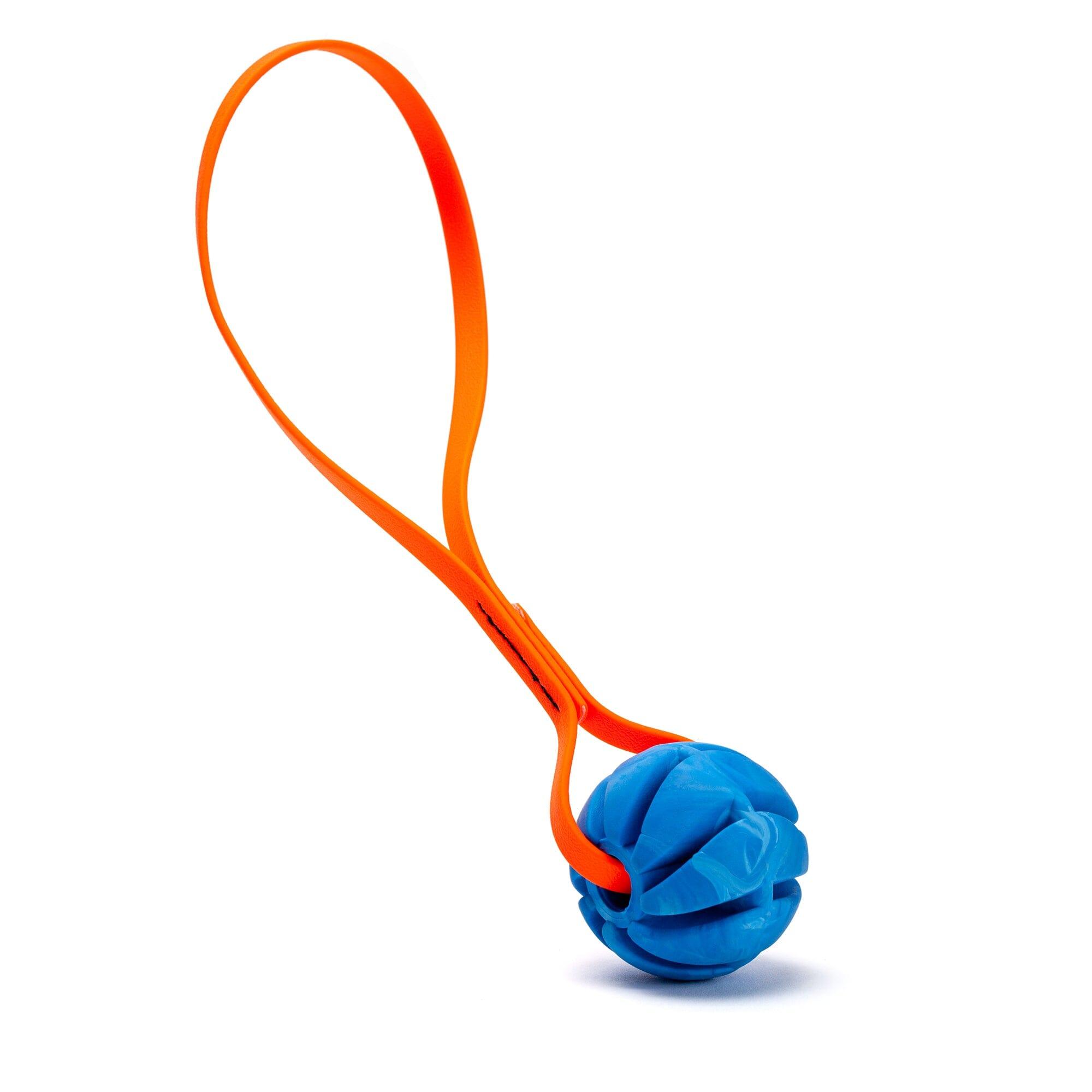 Dogline Rubber Spiral Ball with Biothane Handle Dog Toy, Blue/Hunter Orange