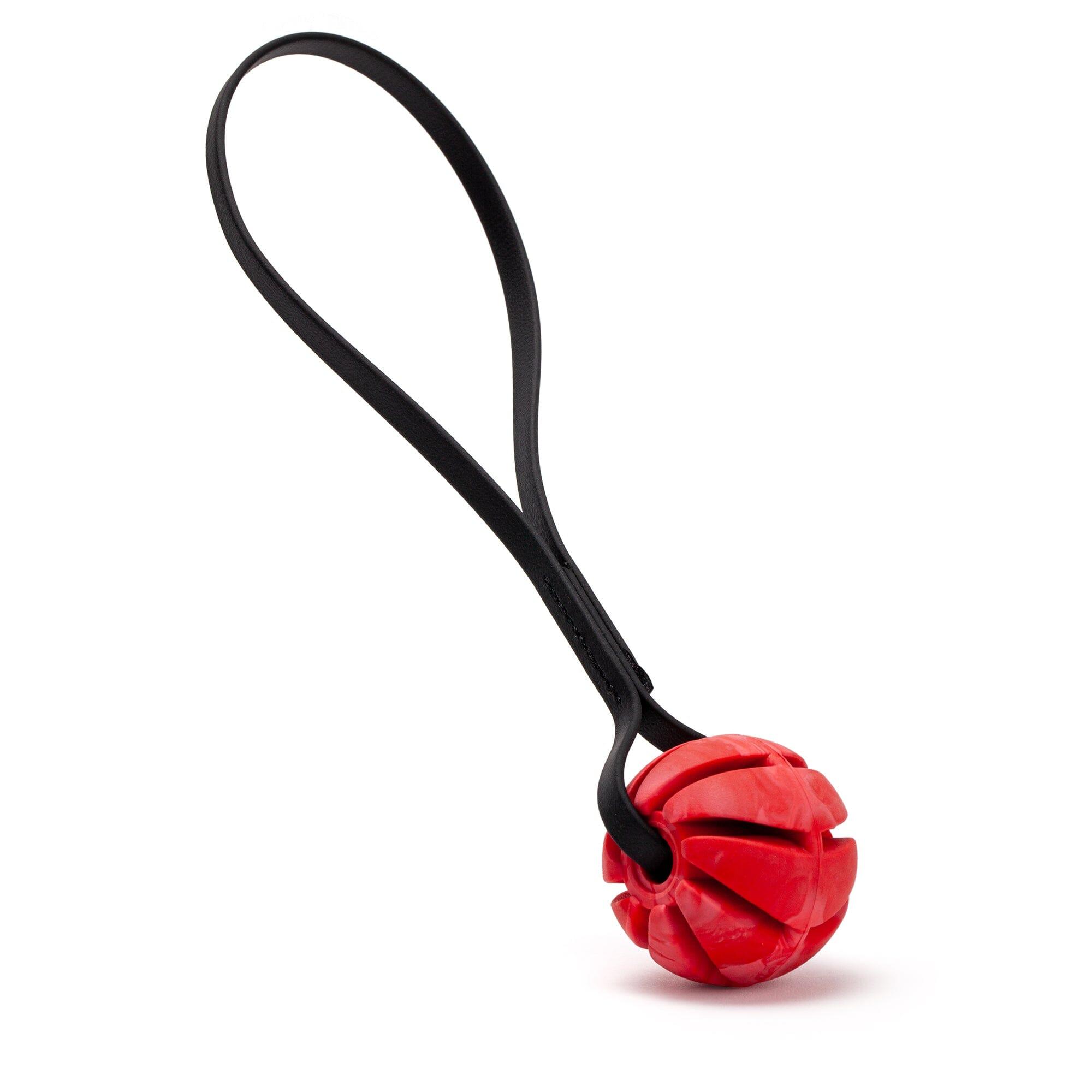 Dogline Rubber Spiral Ball with Biothane Handle Dog Toy, Red/Black