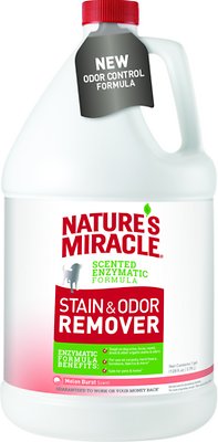 Nature's Miracle Dog Stain & Odor Remover Melon Burst, 1-gal bottle