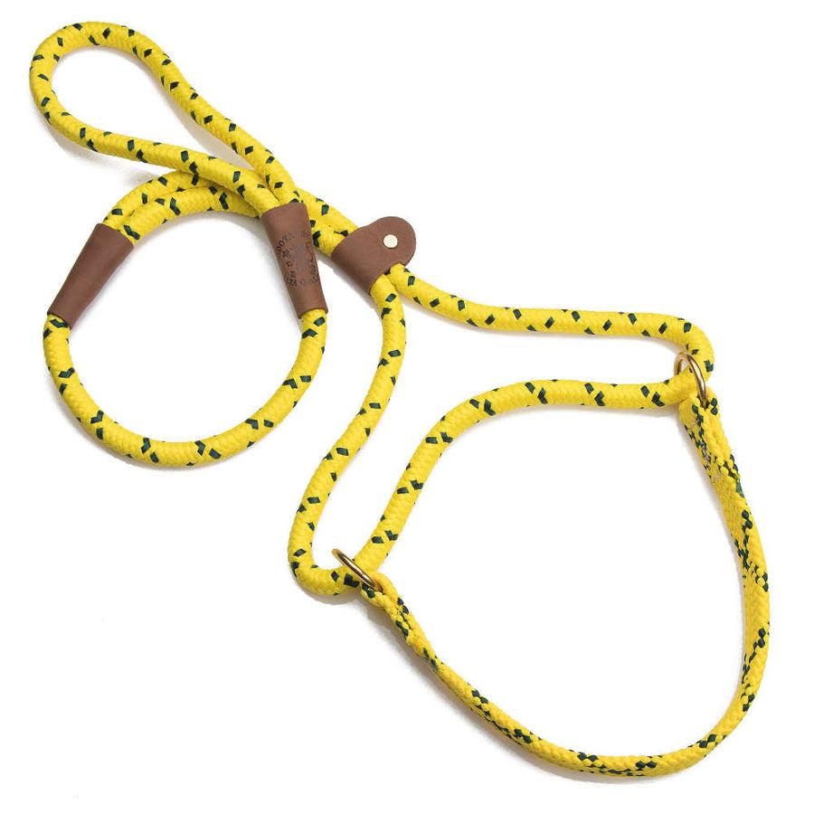 Mendota Pet Large Martingale Slip Walker Dog Collar & Leash, Hi Viz Yellow, 1/2-ft x 6-ft