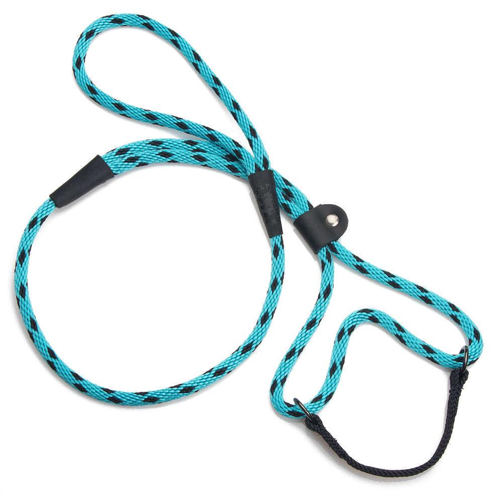 Mendota Pet Small Martingale Slip Walker Dog Collar & Leash, Black Ice Turquoise, 3/8-ft x 6-ft
