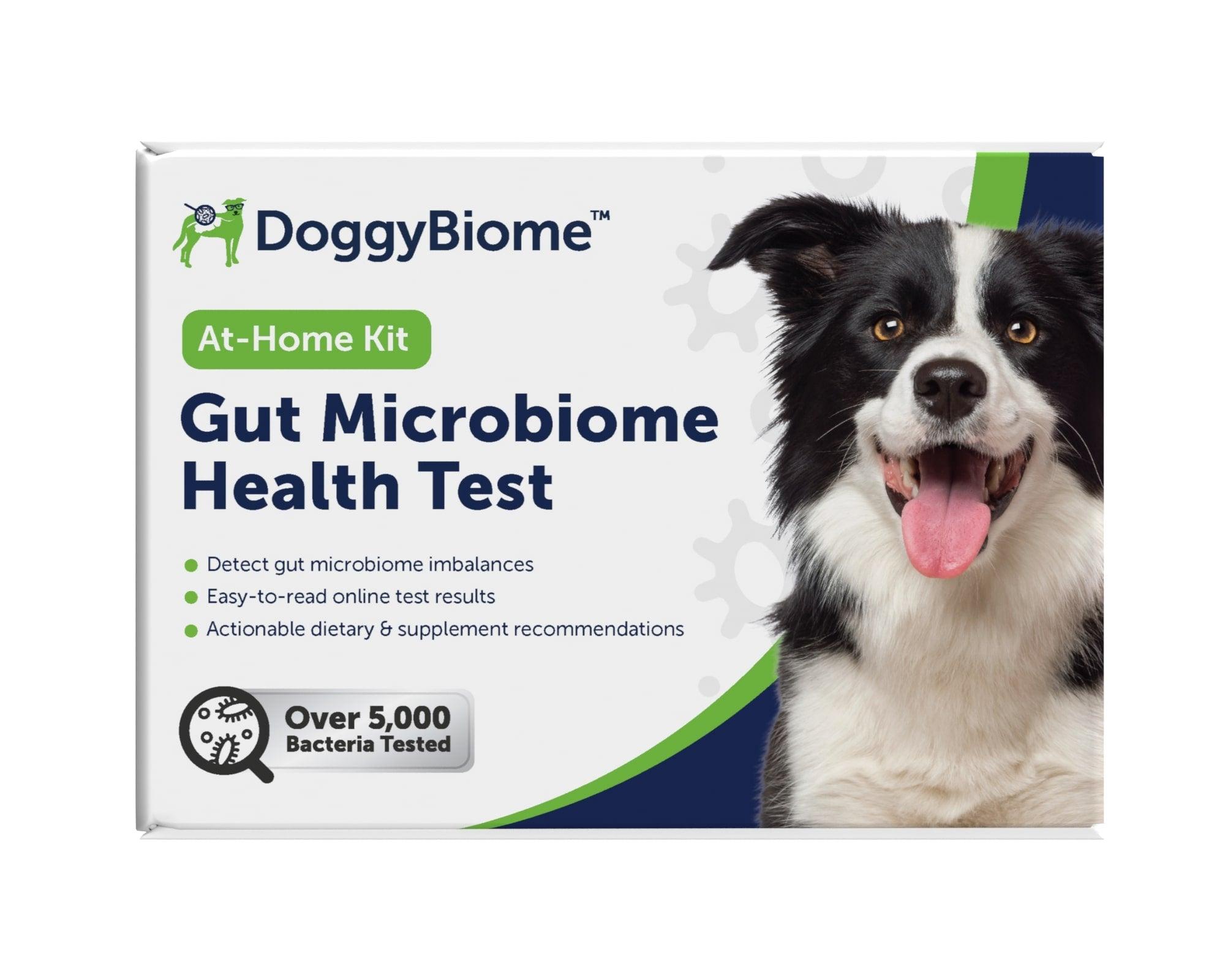 AnimalBiome DoggyBiome Gut Health Test for Dogs