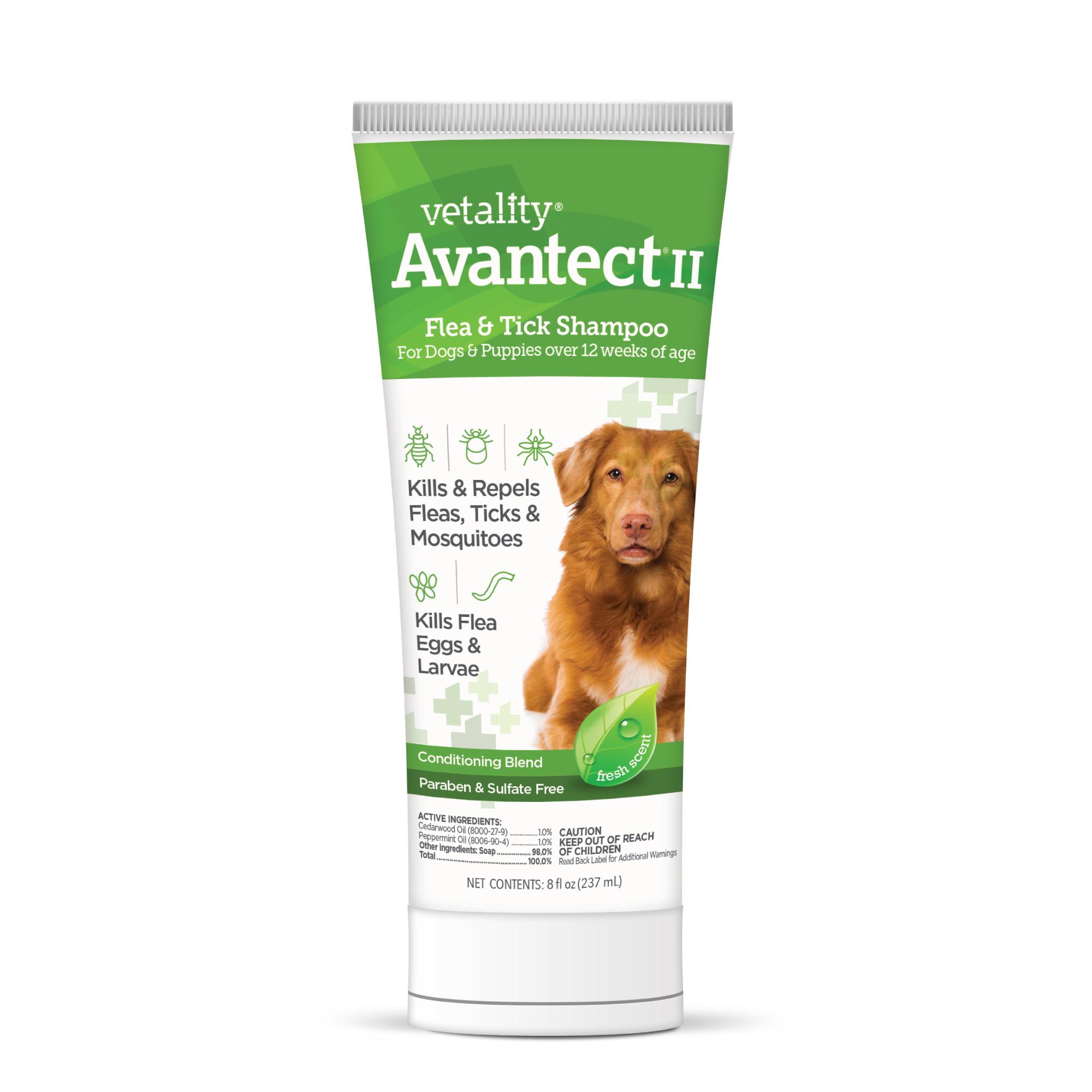 Vetality Avantect II Flea & Tick Dog Shampoo, 8-oz