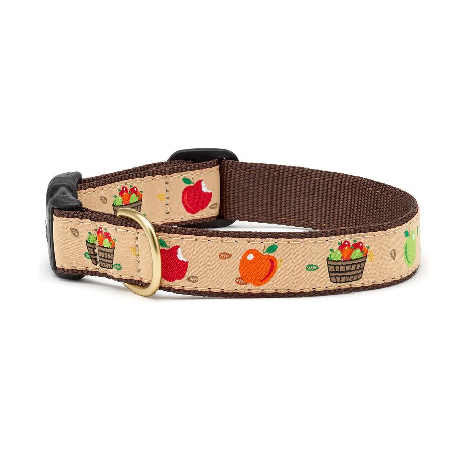 Up Country Dog Collar, Apple of My Eye, 1-in x 9-15-in