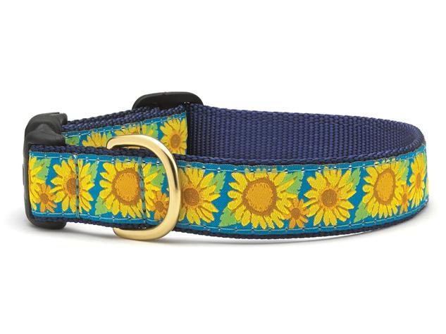 Up Country Dog Collar, Bright Sunflower, 1-in x 15-21-in
