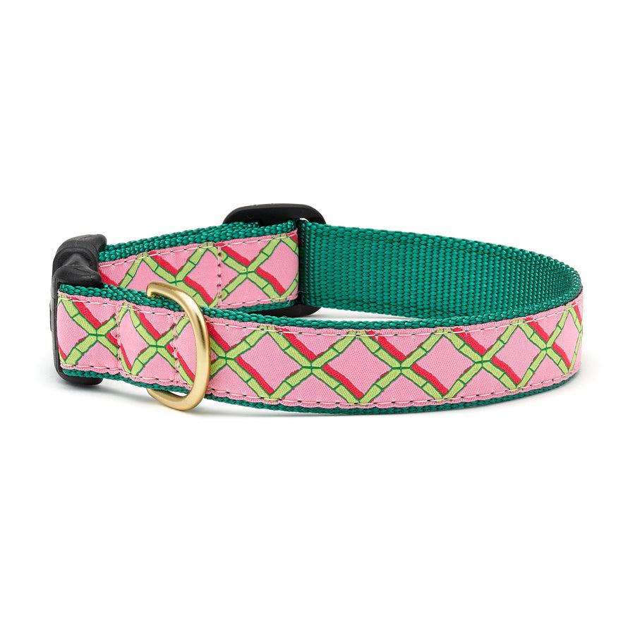 Up Country Dog Collar, Coral Gables