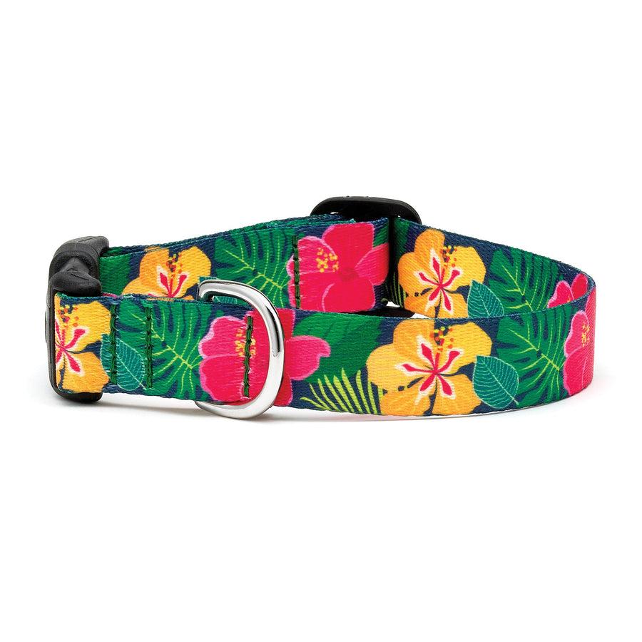 Up Country Sport Dog Collar, Hibiscus, 3/4-in x 9-15-in