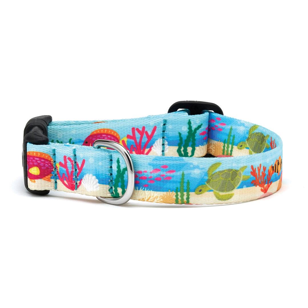 Up Country Sport Dog Collar, Oceanic, 1-in x 15-21-in