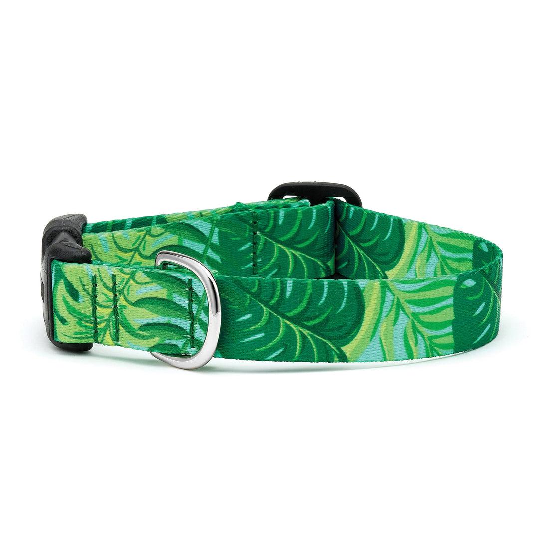 Up Country Sport Dog Collar, Palms, 1-in x 12-18-in