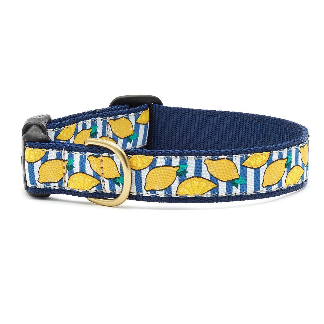 Up Country Dog Collar, Make Lemonade, 5/8-in x 9-15-in