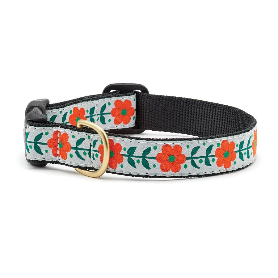 Up Country Dog Collar, Orange You Pretty, 1-in x 12-18-in