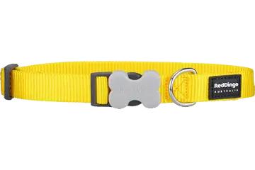 Red Dingo Classic Dog Collar, Yellow, Small
