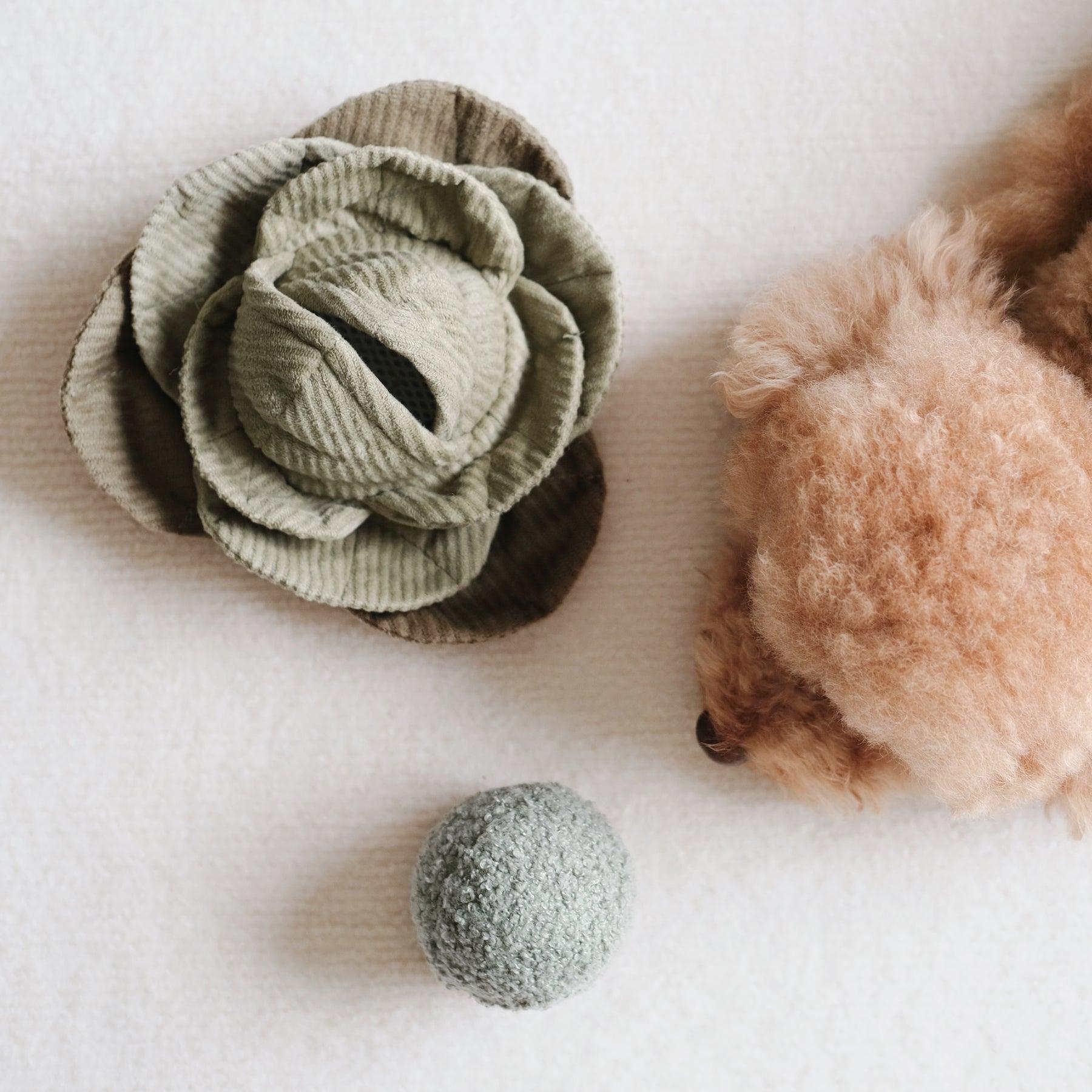 Lambwolf Collective Cabbage Pop Dog Toy, Fern