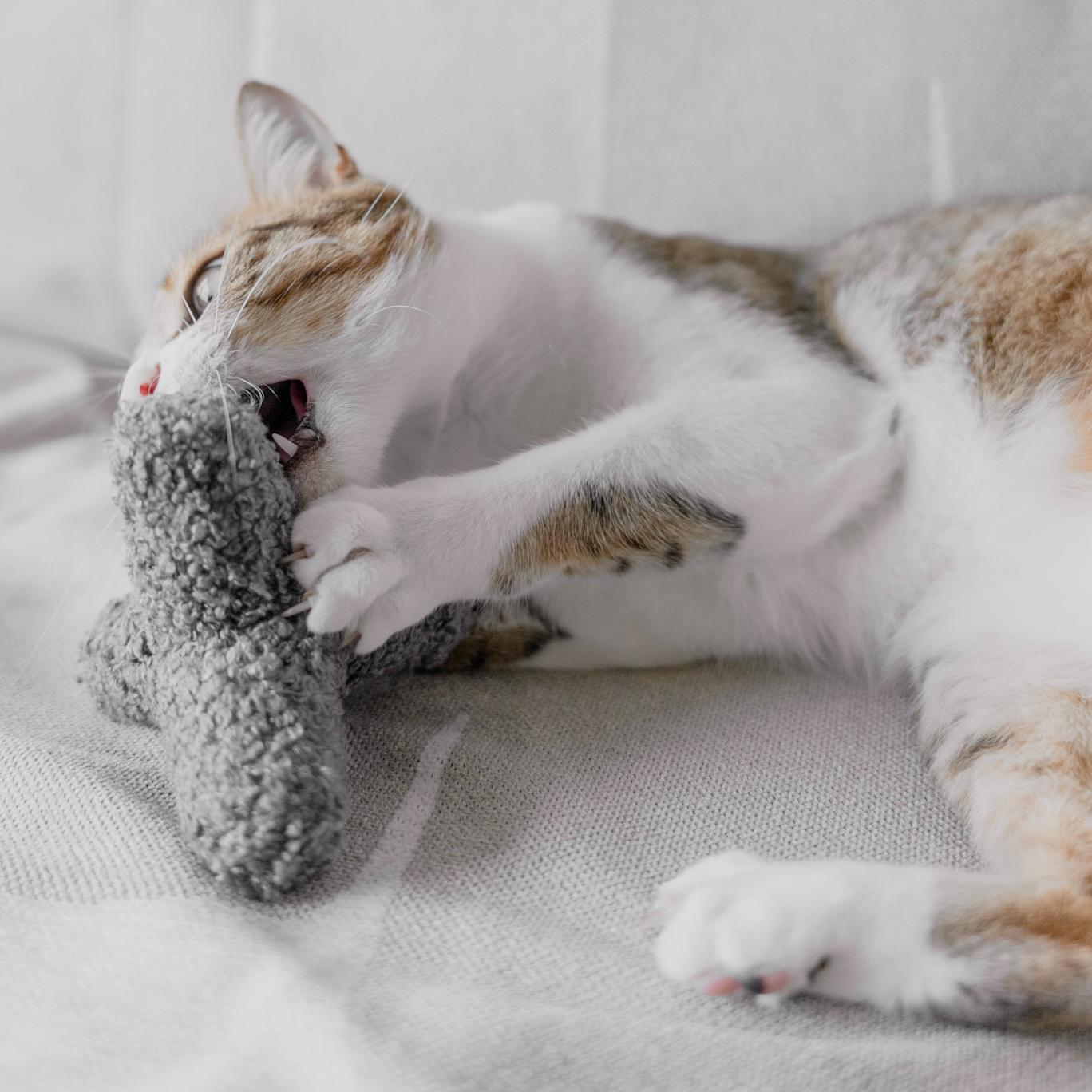 Lambwolf Collective Kitty Breuer Cat Toy, Charcoal