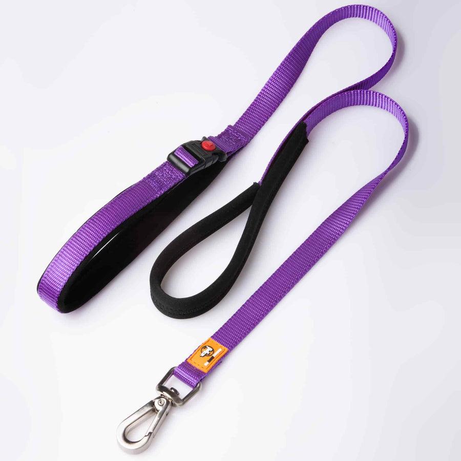 The Canny Company Canny Connect Dog Leash, Purple, 1-in x 4-ft