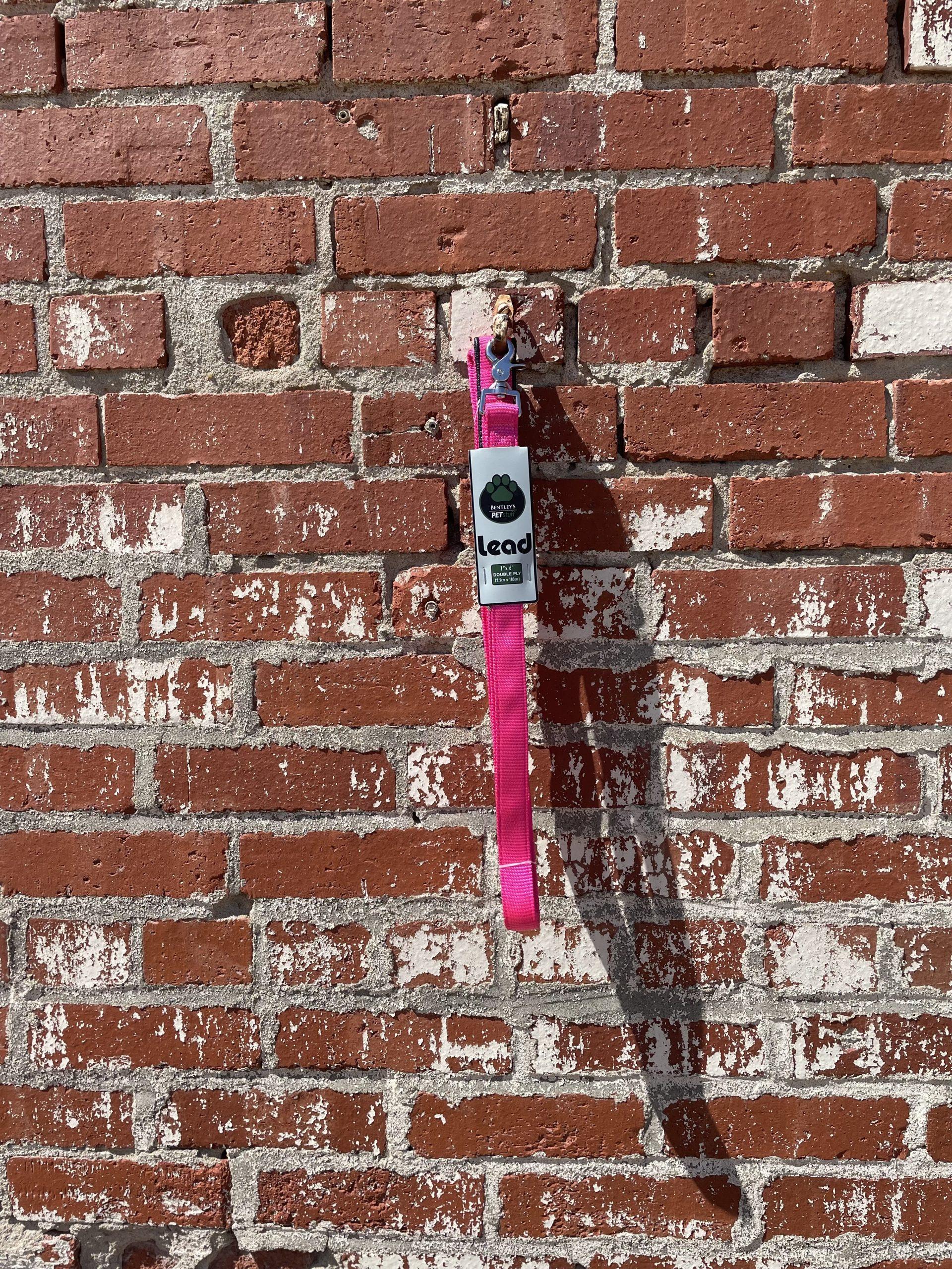 Bentley's Pet Stuff Comfy Double Nylon Dog Leash, Pink, 1-in x 6-ft