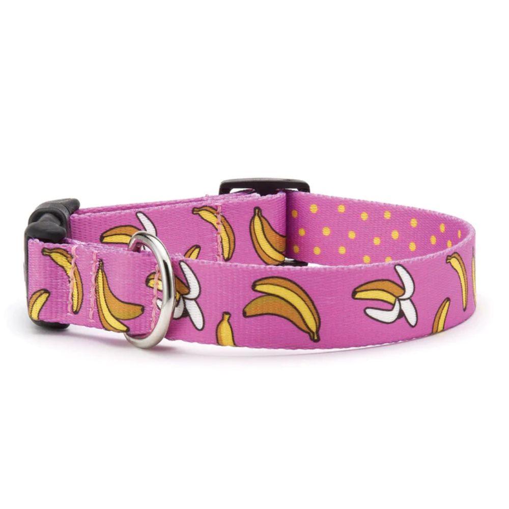 Up Country Sport Dog Collar, Go Bananas, 1-in x 15-21-in