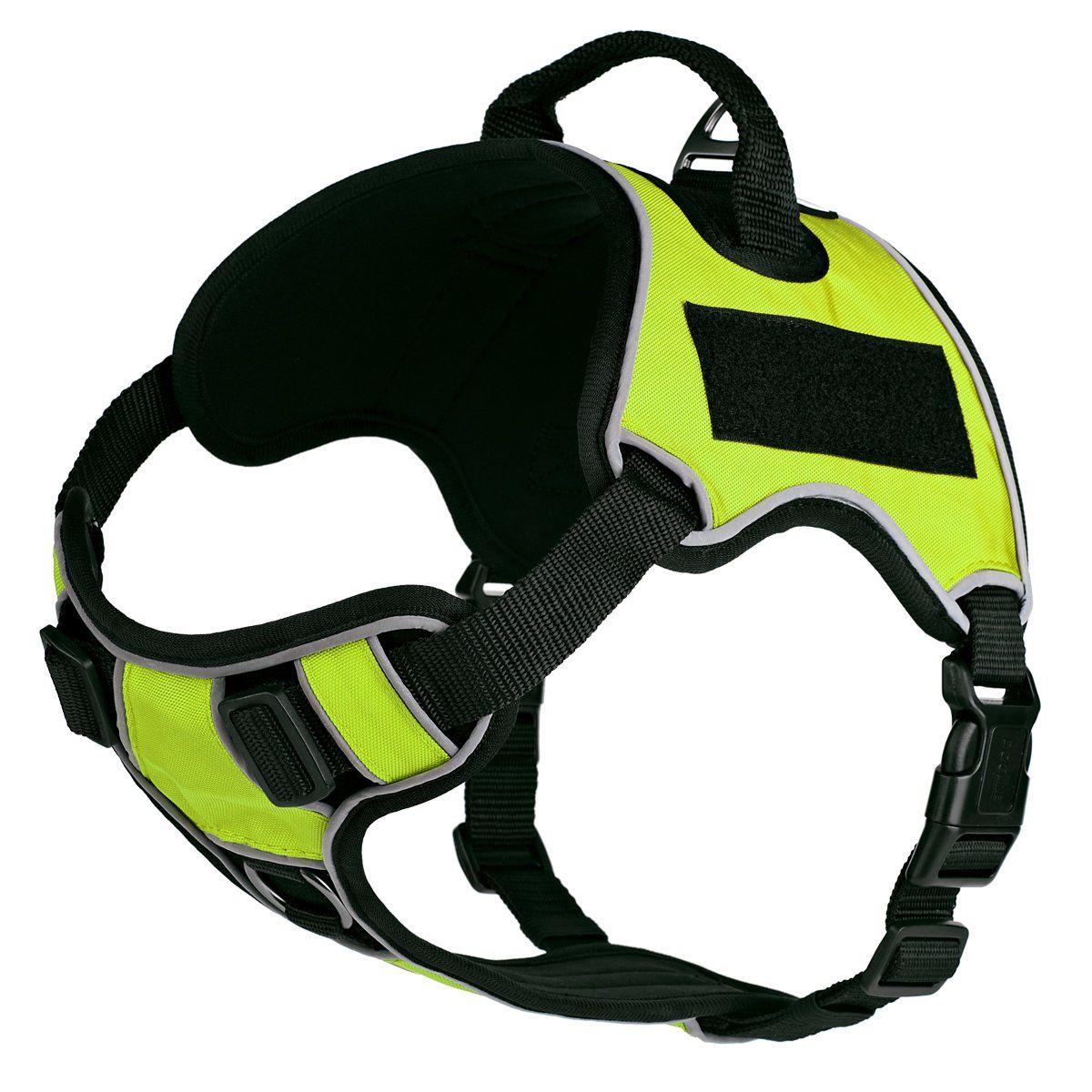 Dogline Quest Multi-Purpose Dog Harness, Green