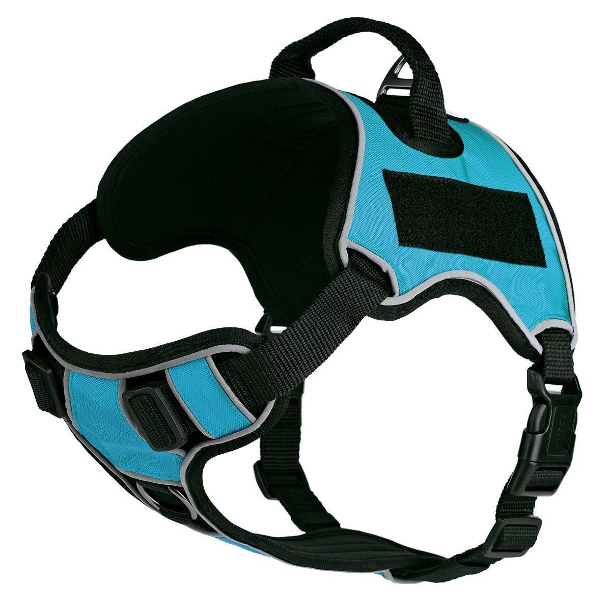 Dogline Quest Multi-Purpose Dog Harness, Teal, XX-Small