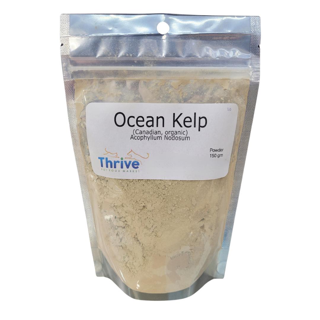 Thrive Pet Food Market Ocean Kelp Powder Pet Supplement, 150-gram