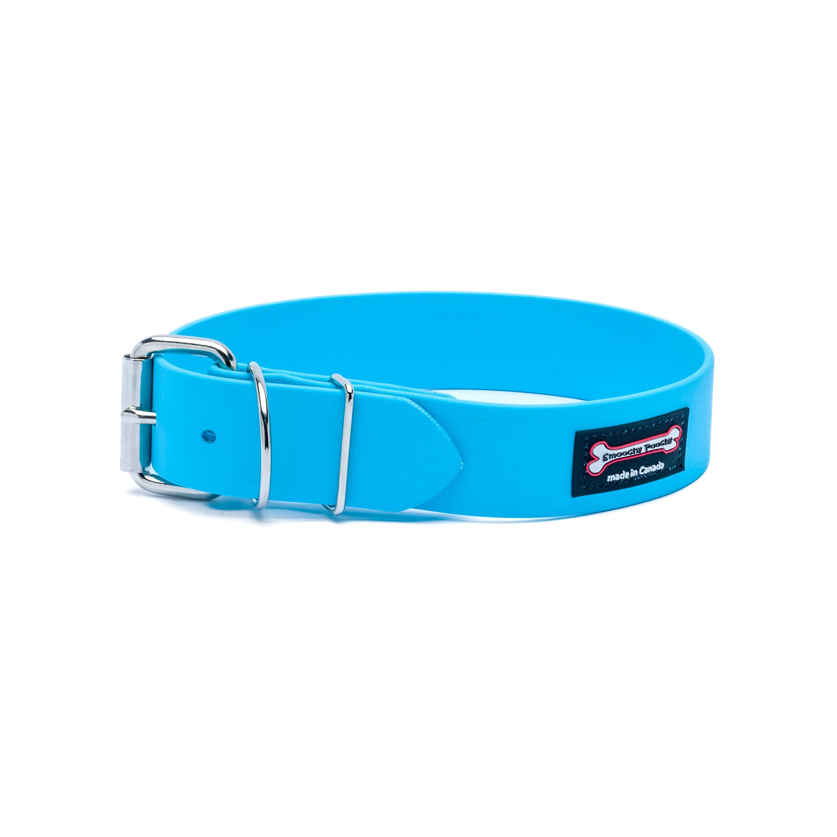 Smoochy Poochy Polyvinyl Buckle Style Dog Collar, Turquoise, 1.5-in x 16-20-in