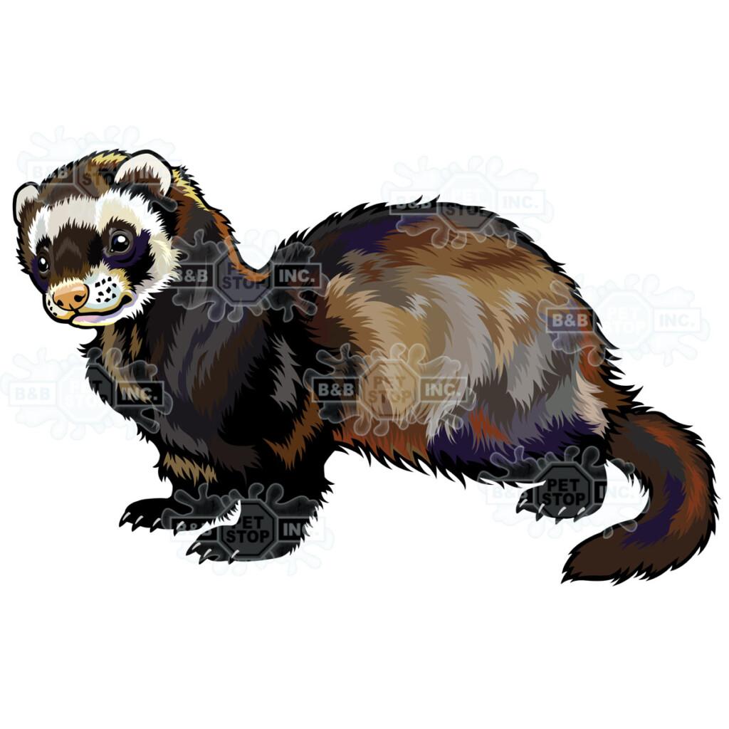 Sticker Pack Ferret