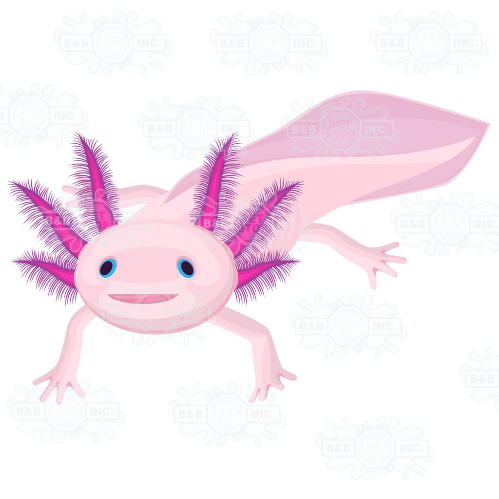 Sticker Pack Pink Axolotl, Large