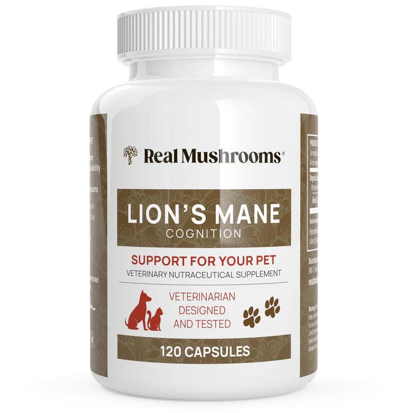 Real Mushrooms Organic Lion's Mane Extract Capsules Pet Supplement