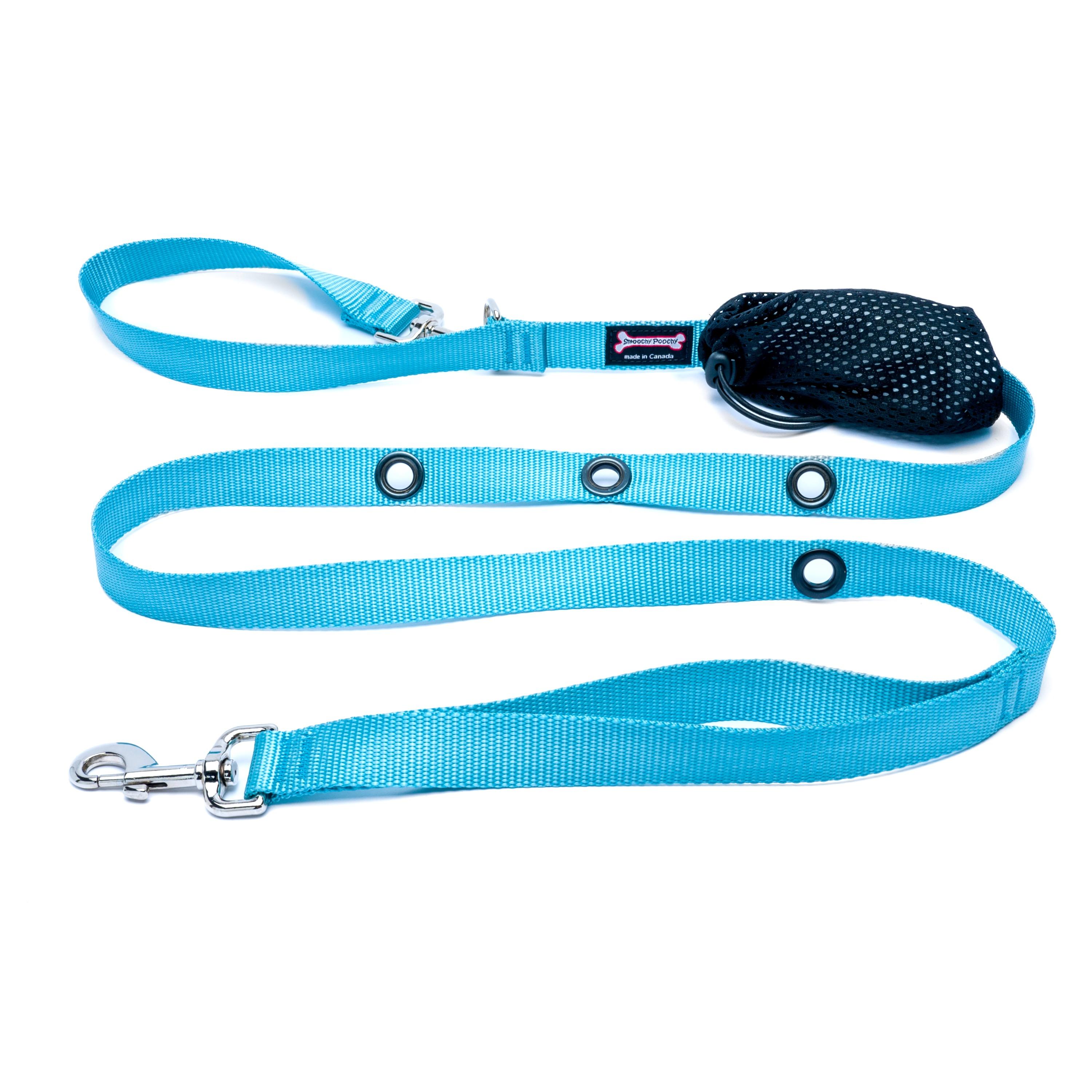 Smoochy Poochy Nylon Hands-Free Dog Leash, Turquoise, 1-in x 8-ft