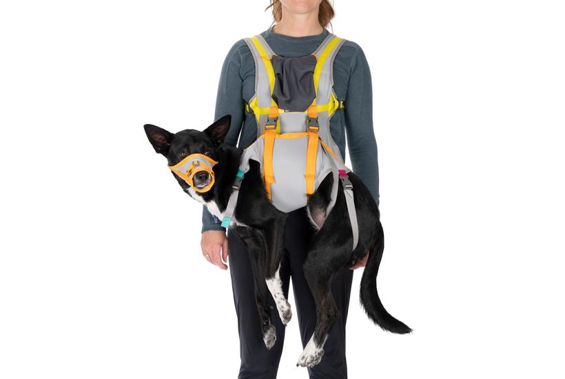 Ruffwear BackTrak Dog Evacuation Kit, Cloudburst Gray, Medium