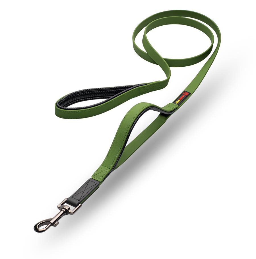 smellydogz Double Handle Dog Leash, Green