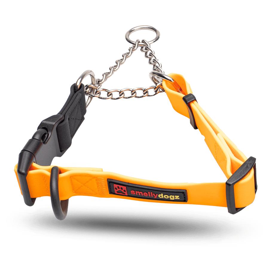 smellydogz Martingale Collar, Orange, 3/4-in x 14-16-in